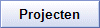 Gerealiseerde projecten